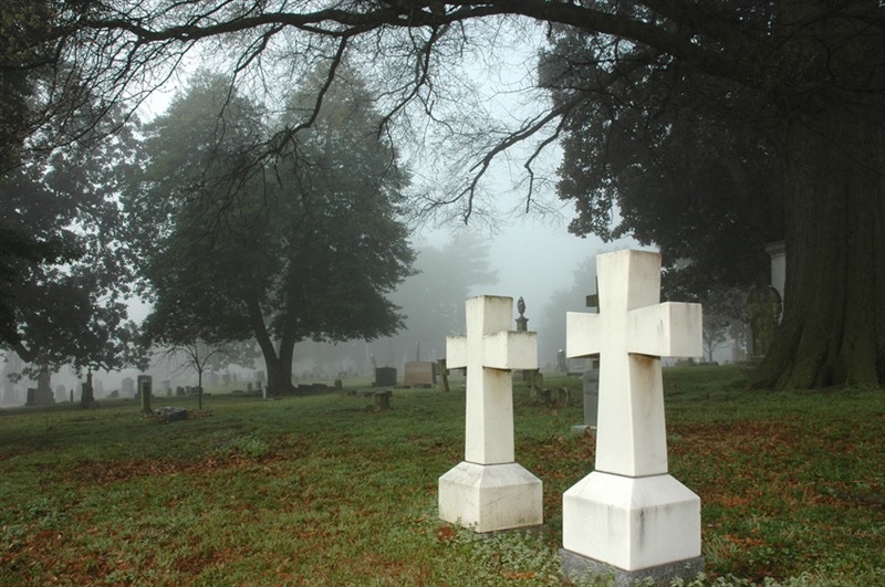 قبرستان اِلم وود در ممفیس