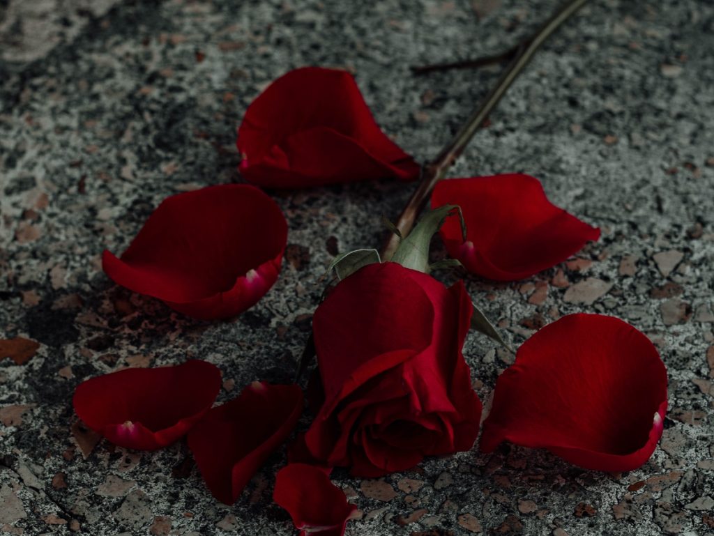 متن تبریک تولد به عزیز از دست رفته؛ زیبا، کوتاه، غمگین، ادبی و احساسی