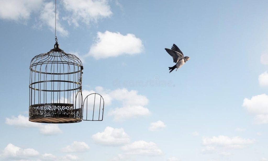 متن کامل شعر “کنج قفس چو نیک بیندیشی” پروین اعتصامی + معنی