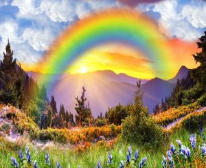 چرا رنگین کمان دایره ای شکل است؟