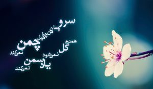 سرو چمان من چرا میل چمن نمی کند (متن، معنی و آهنگ)