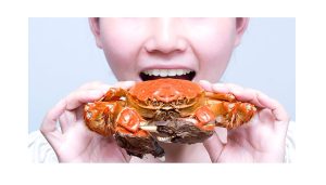 گوشت خرچنگ حلال است یا حرام (نظر فقها بهمراه دلیل)