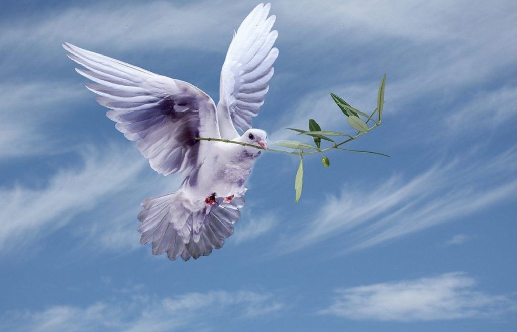 نمادهای صلح در جهان با عکس (11 سمبل صلح با داستان جالب آن ها)