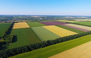 هر هکتار چند متر است (تعریف هکتار + چند مثال ساده)