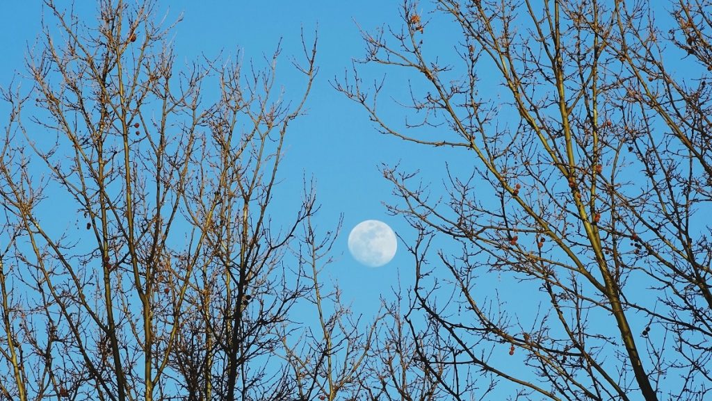 ماه در آسمان روز 