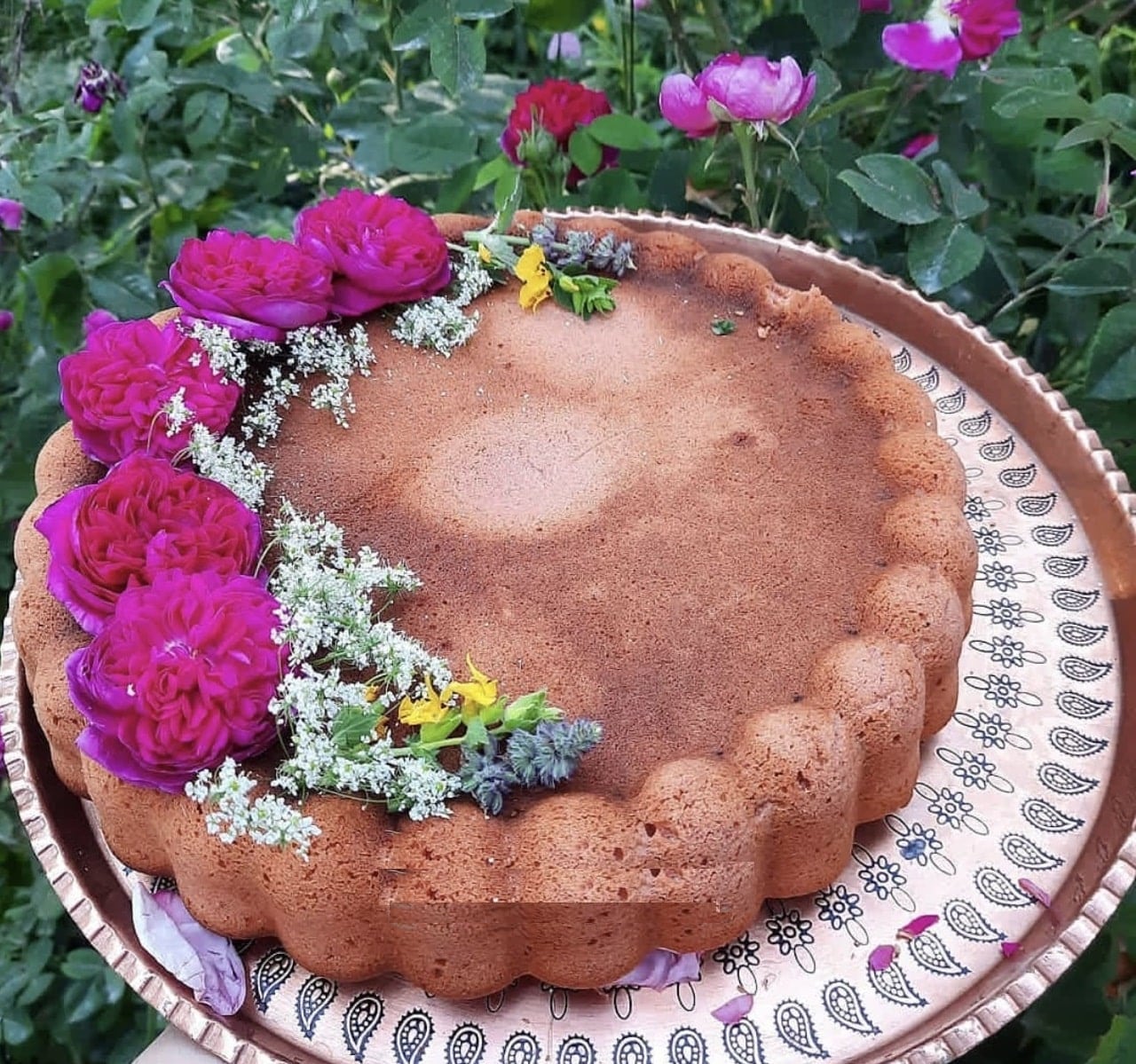 طرز تهیه کیک گل محمدی