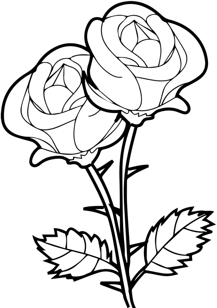 نقاشی گل رز