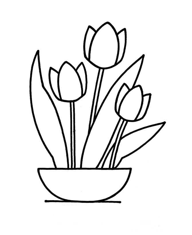 نقاشی گل لاله