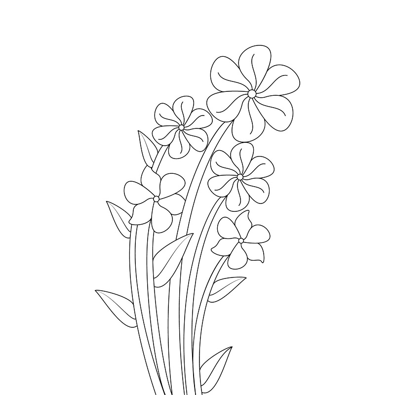 نقاشی گل های محتلف