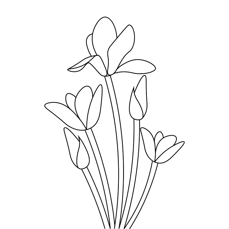 نقاشی گل نرگس