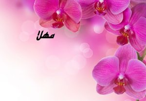 معنی مهلا در عربی، فارسی و در فرهنگ دهخدا