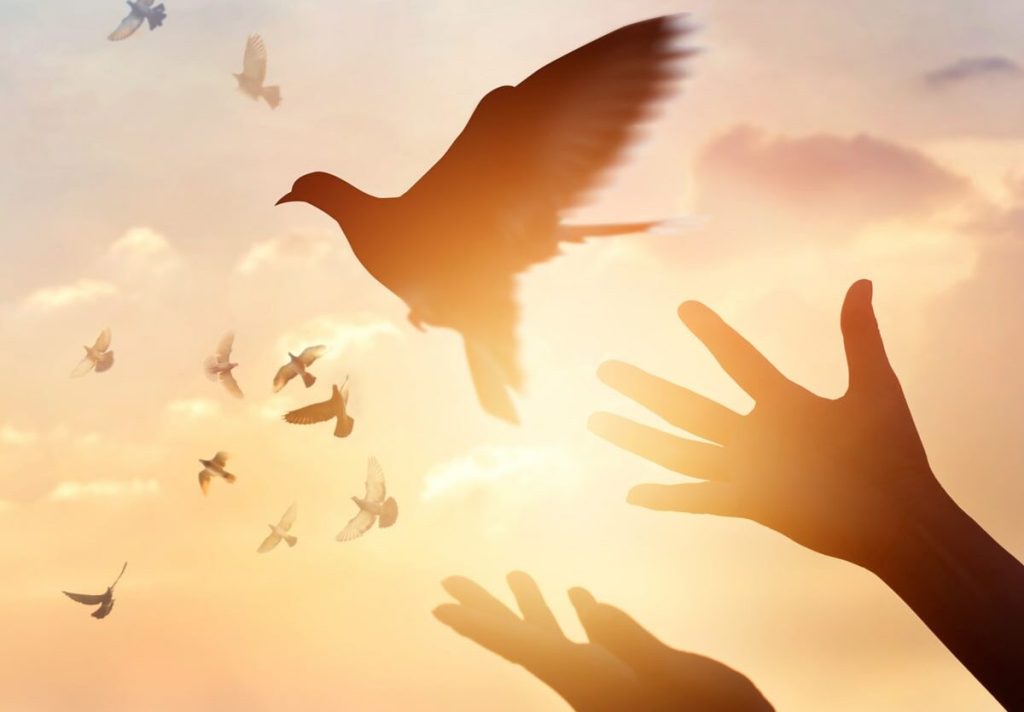 انشا درباره آزادی همراه با مقدمه و نتیجه (ادبی، احساسی و زیبا)