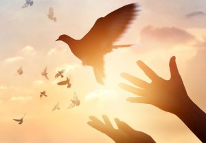 انشا درباره آزادی همراه با مقدمه و نتیجه (ادبی، احساسی و زیبا)