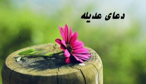 متن دعای عدیله بدون ترجمه و با ترجمه (خواص آن برای مریض)