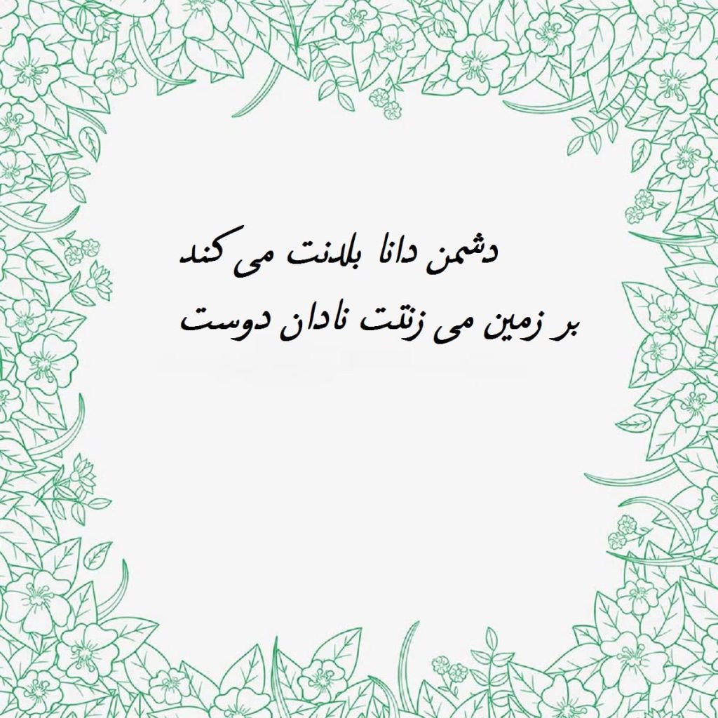 معنی ضرب المثل دشمن دانا بلندت می کند و بر زمین میزنتت نادان دوست + داستان
