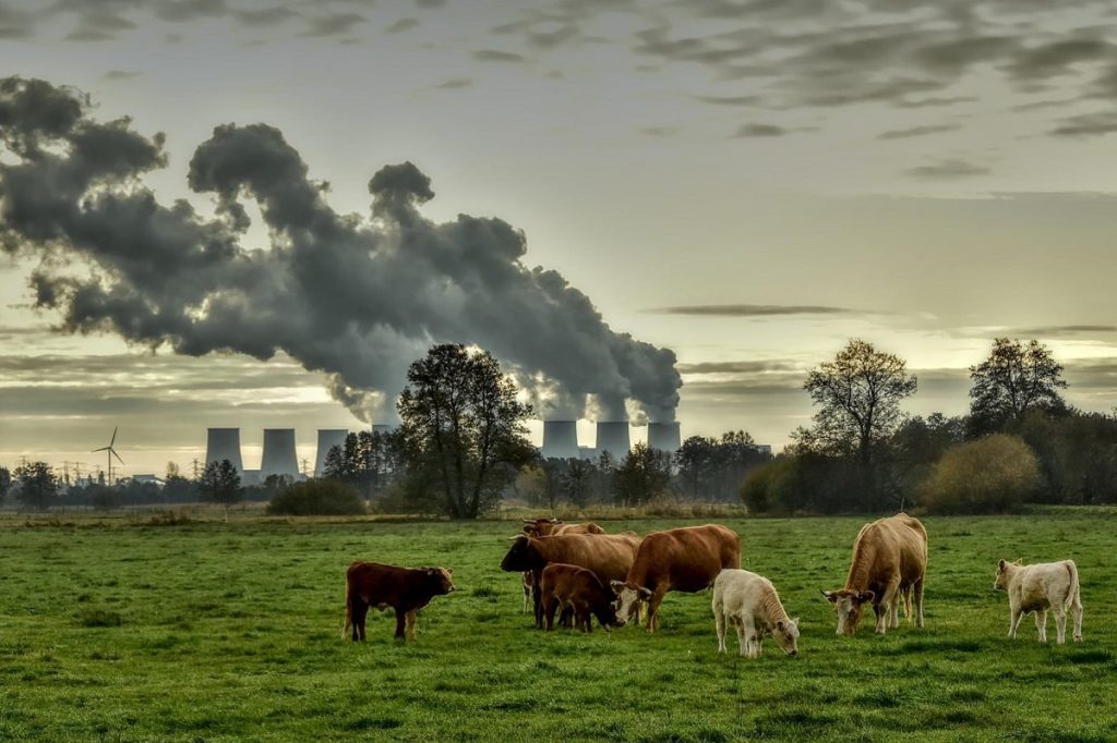 انشا در مورد آلودگی هوا با مقدمه و نتیجه، 7 انشا درمورد آلودگی هوا