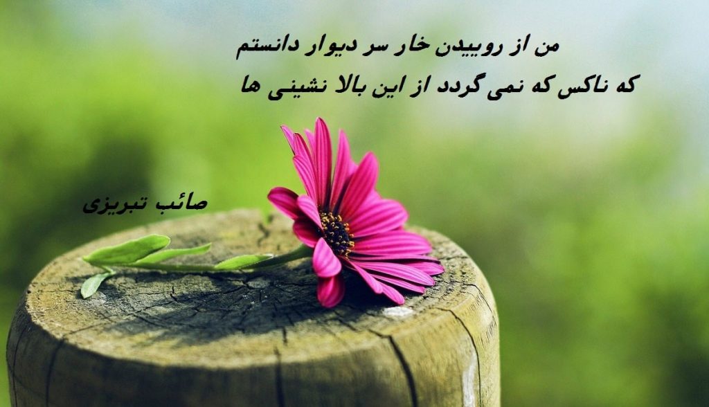 معنی شعر من از روییدن خار سر دیوار دانستم، که ناکس کس نمی گردد از این بالا نشینی ها + متن کامل