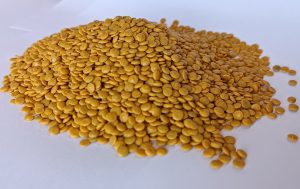 خرید گرانول از فرتاک پلیمر؛ فروشنده گرانول به قیمت کارخانه