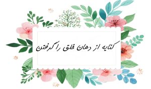 از دهان خلق را گرفتن کنایه از چیست