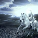 اولین کسی که با امام زمان بیعت می کند چه کسی است؟