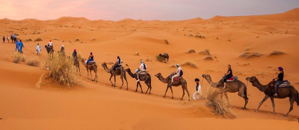 معنی ضرب المثل سواره خبر از حال پیاده ندارد و سیر از گرسنه + داستان آن