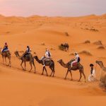 معنی ضرب المثل سواره خبر از حال پیاده ندارد و سیر از گرسنه + داستان آن