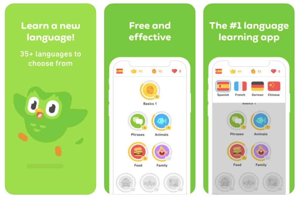 تفاوت نسخه رایگان و پلاس Duolingo