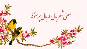 معنی شعر بال در بال پرستوها فارسی پنجم ابتدایی