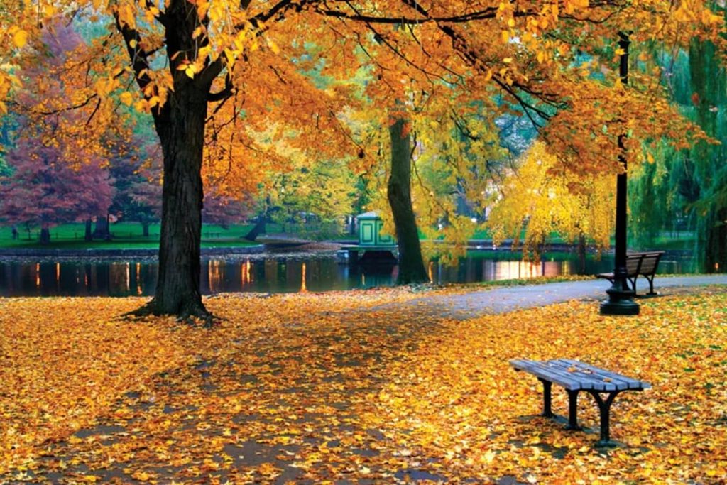 شعر خزان