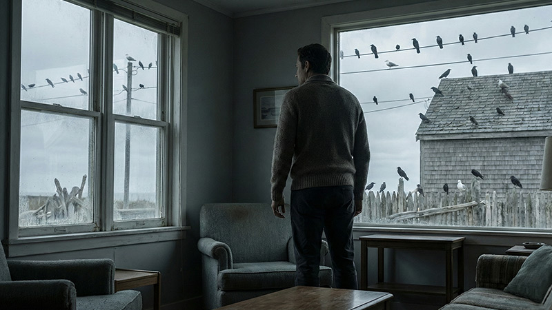 پرندگان؛ تعلیق بدون هیاهو