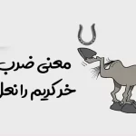 معنی ضرب‌المثل «خر کریم را نعل کردن» چیست و چه کاربردی دارد؟